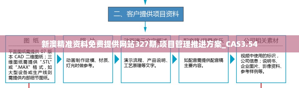 新澳精准资料免费提供网站327期,项目管理推进方案_CAS3.54