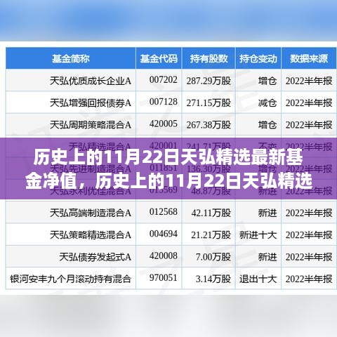 历史上的11月22日，天弘精选基金净值深度解析与波动透视