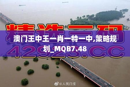澳门王中王一肖一特一中,策略规划_MQB7.48