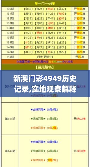 新澳门彩4949历史记录,实地观察解释定义_KXE7.47