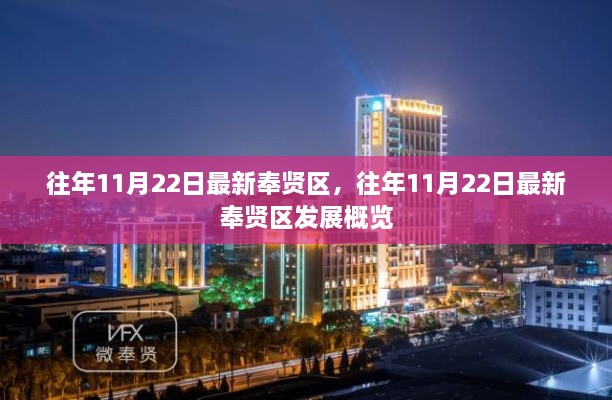 往年11月22日奉贤区发展最新概览，深度解析区域发展动态与成就