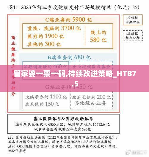 管家婆一票一码,持续改进策略_HTB7.5