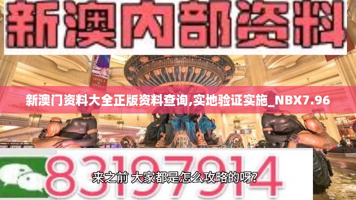 新澳门资料大全正版资料查询,实地验证实施_NBX7.96