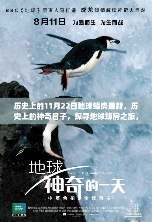 历史上的11月22日地球蜂房最新，历史上的神奇日子，探寻地球蜂房之旅，启程向内心的宁静