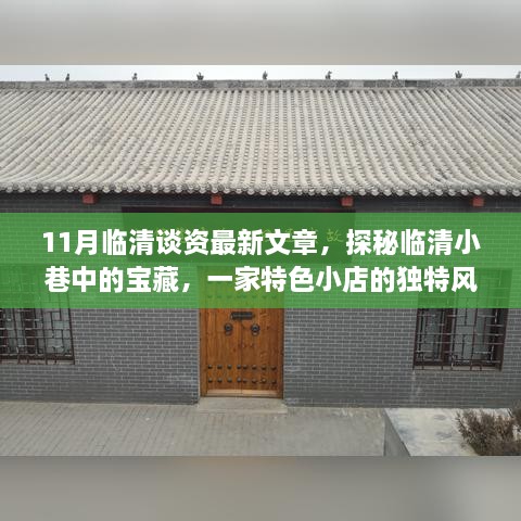 临清小巷宝藏揭秘，特色小店的独特风情最新文章