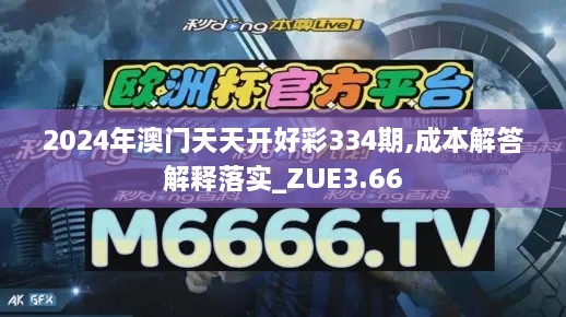 2024年澳门天天开好彩334期,成本解答解释落实_ZUE3.66