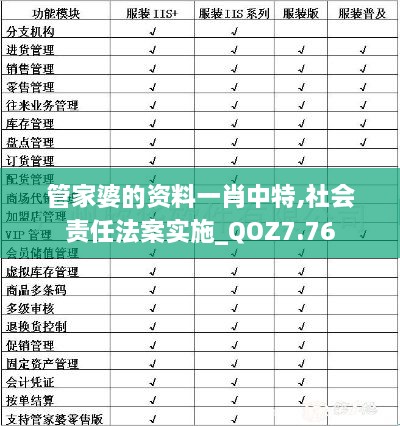 管家婆的资料一肖中特,社会责任法案实施_QOZ7.76