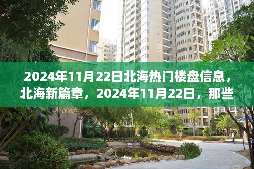 wangqixiangbei 第20页