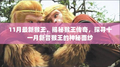 mupingzigui 第20页