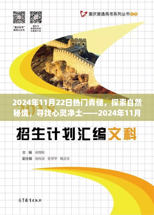 qingtianbairi 第19页