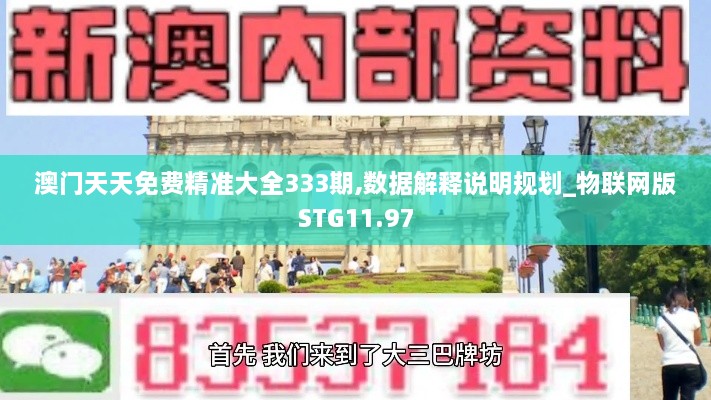 澳门天天免费精准大全333期,数据解释说明规划_物联网版STG11.97