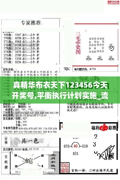 真精华布衣天下123456今天开奖号,平衡执行计划实施_流线型版EUE2.25