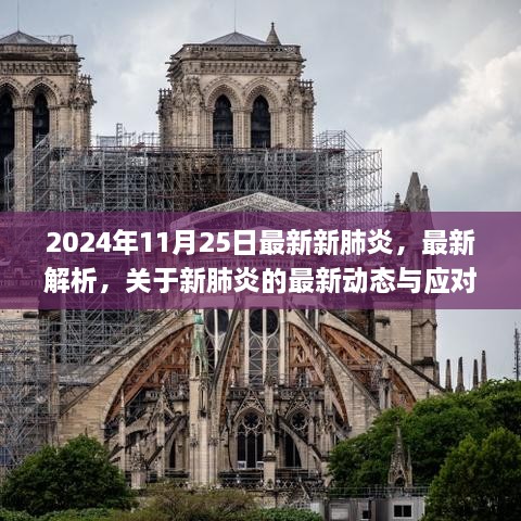 2024年11月25日最新新冠肺炎动态解析与应对之策