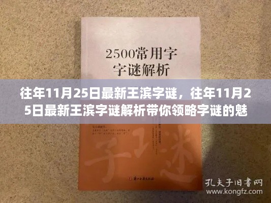 往年11月25日王滨字谜解析，领略字谜魅力世界