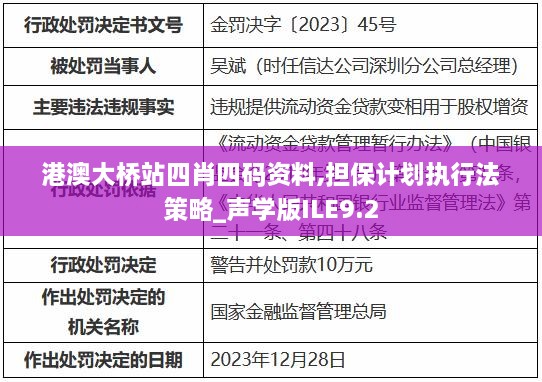 港澳大桥站四肖四码资料,担保计划执行法策略_声学版ILE9.2
