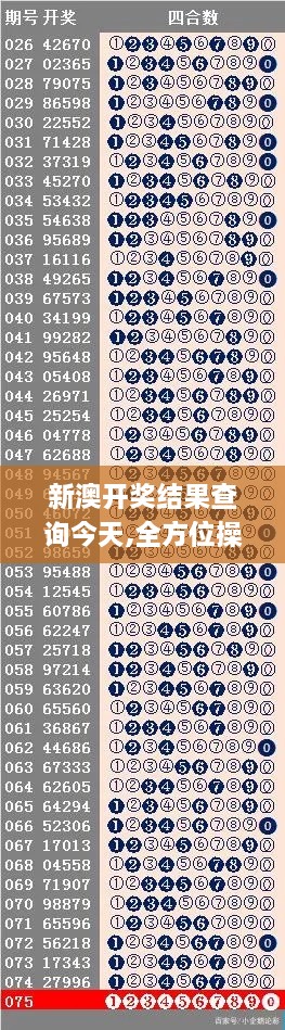 新澳开奖结果查询今天,全方位操作计划_演讲版KHU9.5