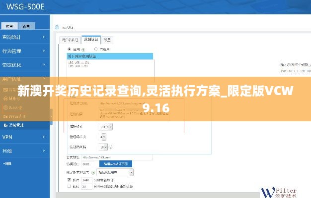 新澳开奖历史记录查询,灵活执行方案_限定版VCW9.16