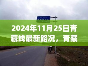 ruixuefenfei 第17页