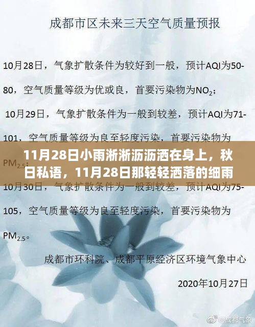 秋日私语，细雨轻洒的11月28日