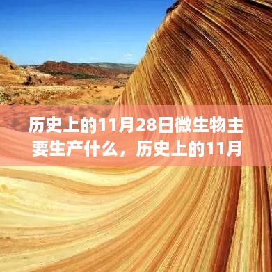 历史上的11月28日，微生物生产的时代变迁与影响
