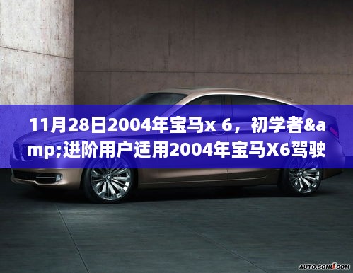 全方位解析，从购车到日常驾驶——2004年宝马X6驾驶指南，适合初学者与进阶用户