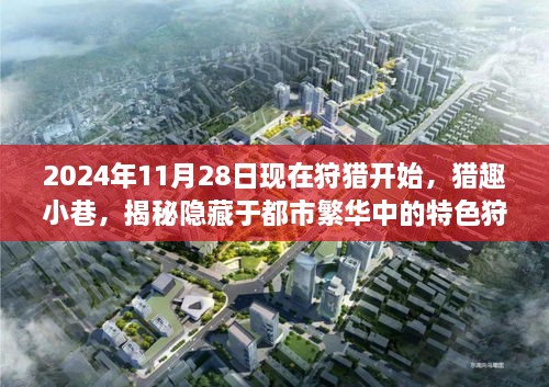 揭秘都市繁华中的狩猎小店，猎趣小巷的隐秘世界（2024年狩猎开启）