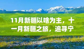11月新疆之旅，宁静与美景的双重盛宴探索之旅