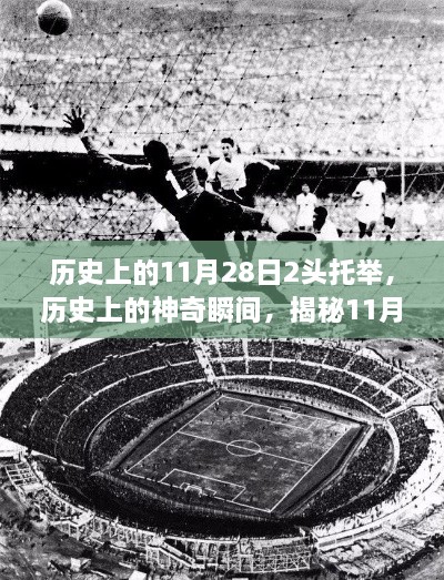 yaotaonongli 第16页