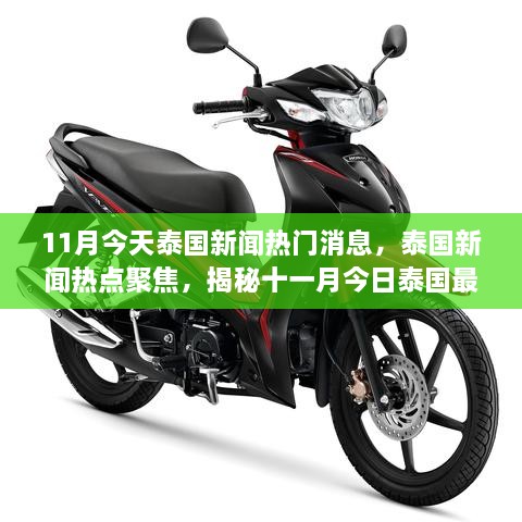 揭秘泰国最新动态，今日热点新闻聚焦十一月热门消息