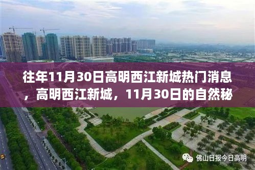 高明西江新城，探寻自然秘境之旅，寻找内心的宁静与平和（往年11月30日热门消息）