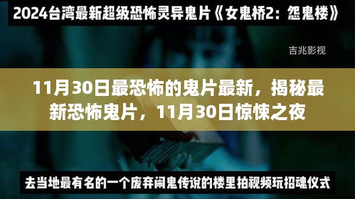 11月30日最恐怖的鬼片最新，揭秘最新恐怖鬼片，11月30日惊悚之夜