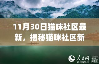 揭秘猫咪社区新动态，深度洞察与精彩瞬间（11月30日更新）