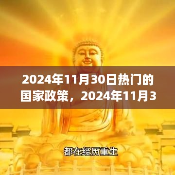 2024年11月30日国家政策热点解析，多维度视角探讨