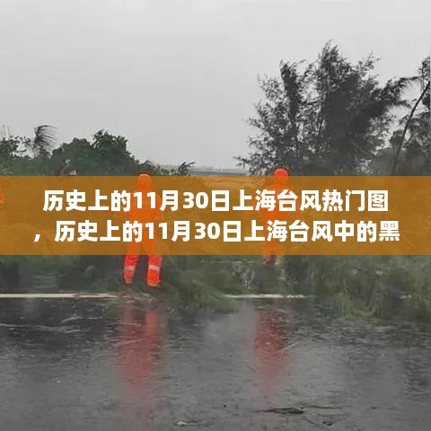 历史上的上海台风风云，智能预警系统惊艳亮相与守护者的力量展现