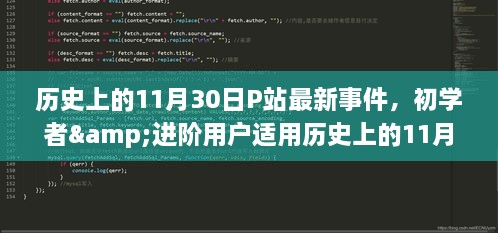 历史上的11月30日P站最新事件全揭秘，从初学者到进阶用户的探索指南。