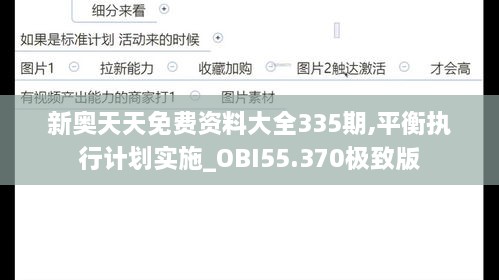 新奥天天免费资料大全335期,平衡执行计划实施_OBI55.370极致版