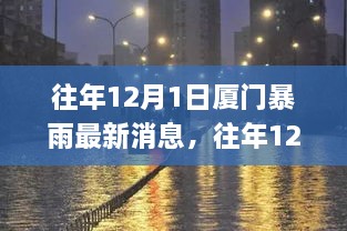 往年12月1日厦门暴雨突袭，城市反应与天气突变下的最新动态