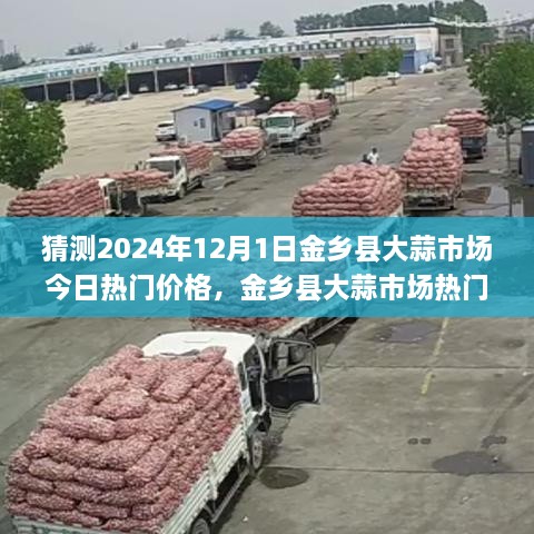 市场动态分析