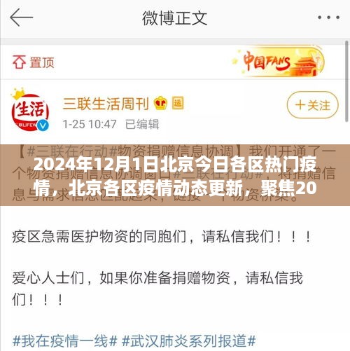 北京各区疫情动态更新，聚焦2024年12月1日疫情热点解读