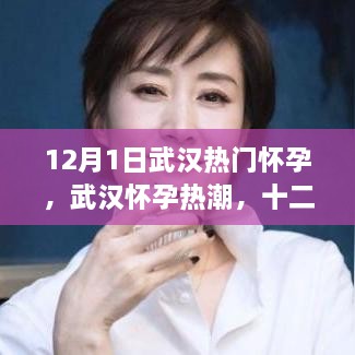 武汉怀孕热潮，十二月一日回顾与影响分析
