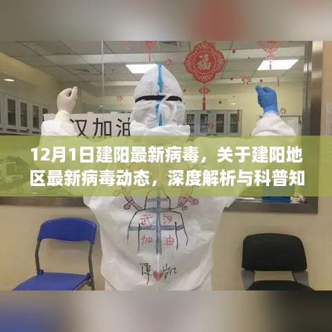 建阳地区最新病毒动态深度解析与科普知识，12月1日最新病毒情报揭秘
