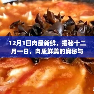 揭秘十二月一日肉质鲜美的奥秘与新鲜秘诀，为何这一天肉质最佳？