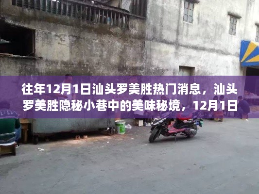 汕头罗美胜隐秘小巷的美食秘境，独家记忆，12月1日热门消息揭秘