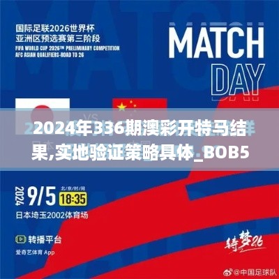 2024年336期澳彩开特马结果,实地验证策略具体_BOB55.137高效版