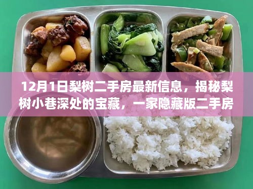 梨树小巷隐藏版二手房特色小店，揭秘宝藏家园新篇章
