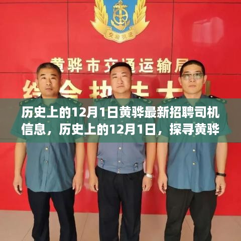 最新招聘信息汇总
