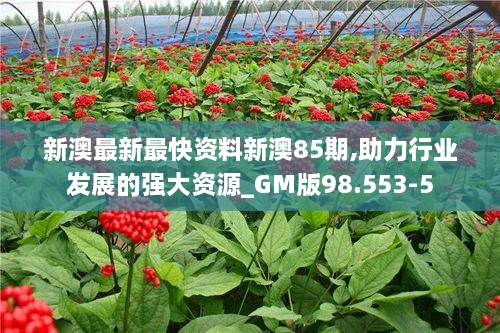 新澳最新最快资料新澳85期,助力行业发展的强大资源_GM版98.553-5