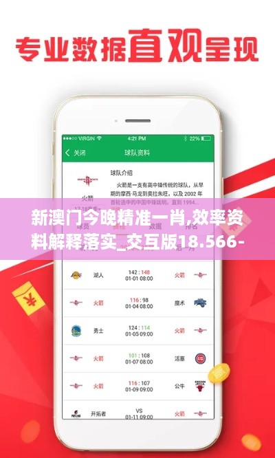 新澳门今晚精准一肖,效率资料解释落实_交互版18.566-7