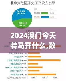 2024澳门今天特马开什么,数据驱动方案实施_S3.546-1
