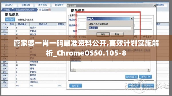 管家婆一肖一码最准资料公开,高效计划实施解析_ChromeOS50.105-8
